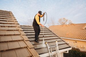 Roof Cleaning Services in Roseville
